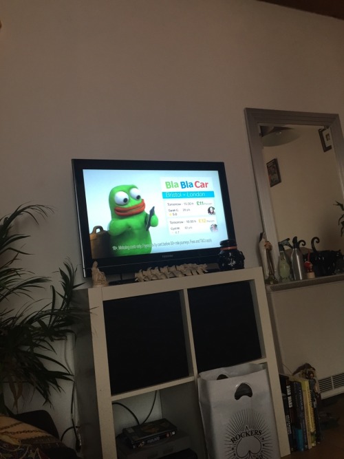 snototter:  the rarest pepe is the one on this commercial for insurance