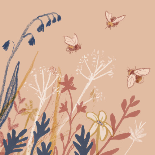 catherinepapeillustration:Bees and flowers. Might make these into cards.