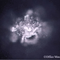 Emoto Water Crystals