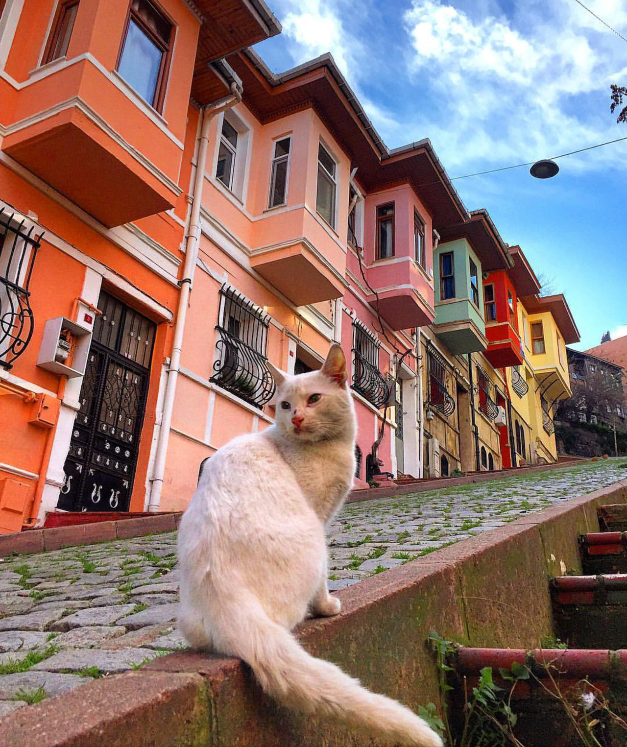 amateurphotographysblog:  Eskiden harfler daha mı kıymetliydi Bir mektup yeterdi