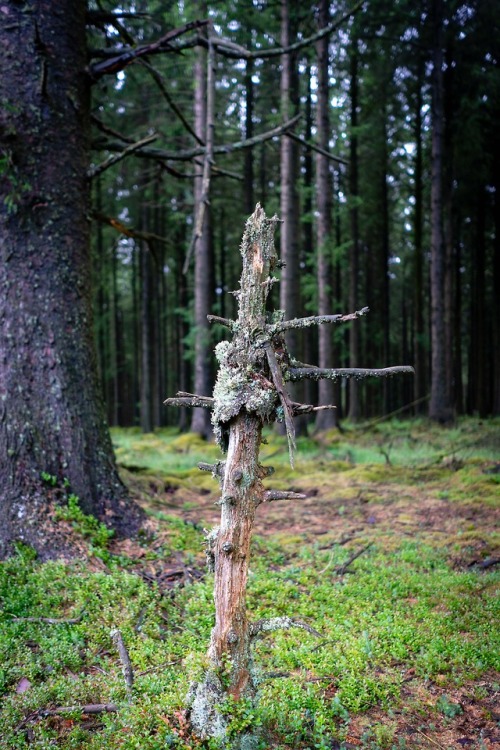 stephenearp:Broken bones