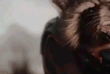 sewonandsewforth:the-forward-observer:midtowncomics:Here’s a gif of a racoon shooting a gun that I t