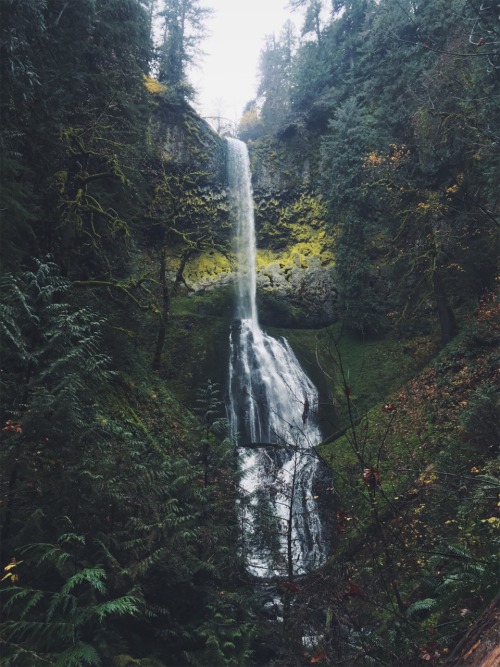 justapplyyourself:Pup Creek Falls. Molalla, Oregon.