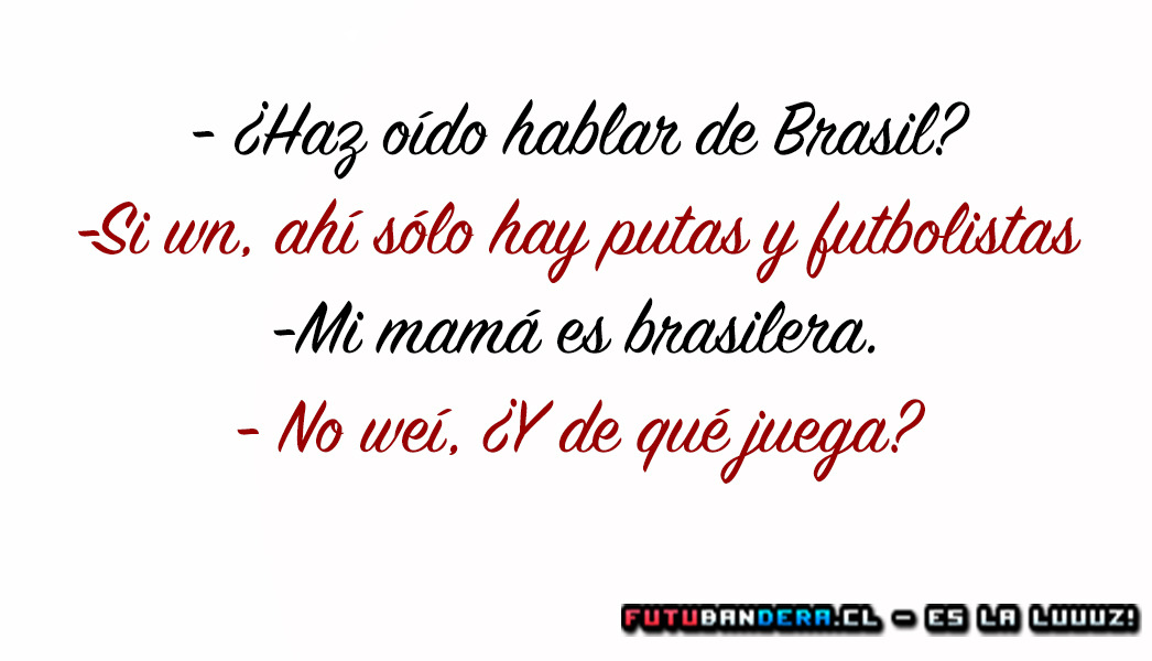 Bienvenido a post de humor y gatos