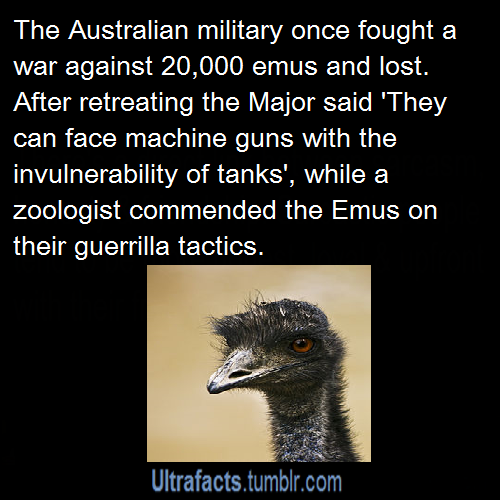 ultrafacts:  Sources: 1 2 3 4 5 6 7 8 9 For more facts on your dash, follow Ultrafacts