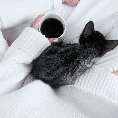 http://the-dianastratila-blog.tumblr.com/post/134152941818