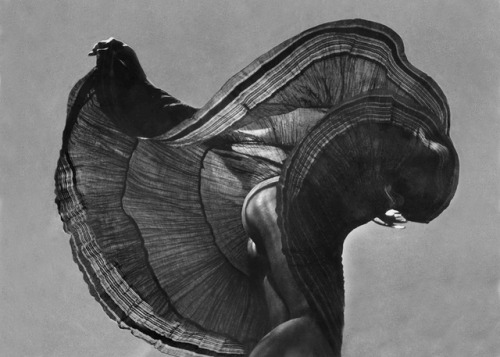 inneroptics:   Ken Van Sickle    porn pictures