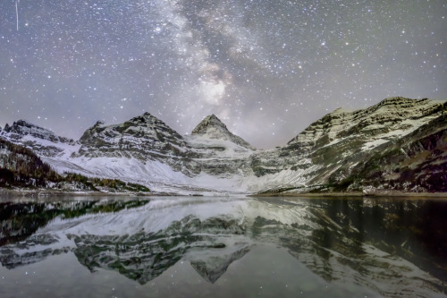 expressions-of-nature:by Denis Semenov