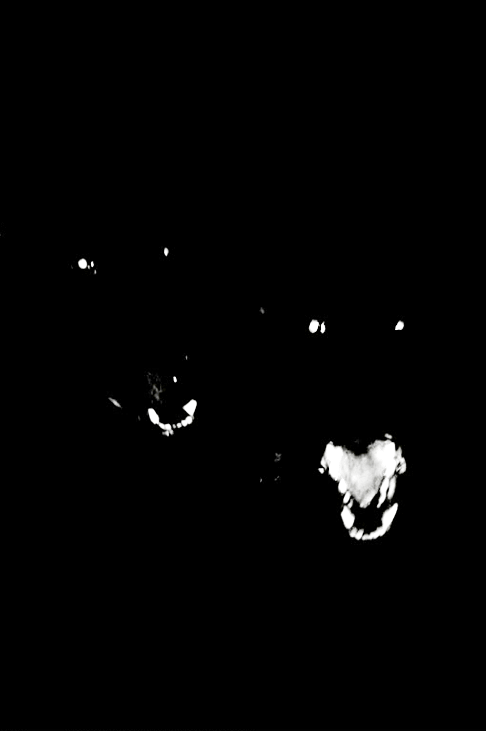 yvng-dxddy:  yvng-dxddy.tumblr.com