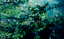 tlotrgifs:The Lord Of The Rings : Fellowship Of The Ring↳ Colors: Green