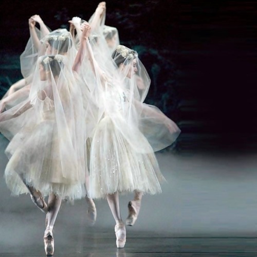poisoned-apple:“Giselle” // National Ballet of Canada // Photo by David Cooper