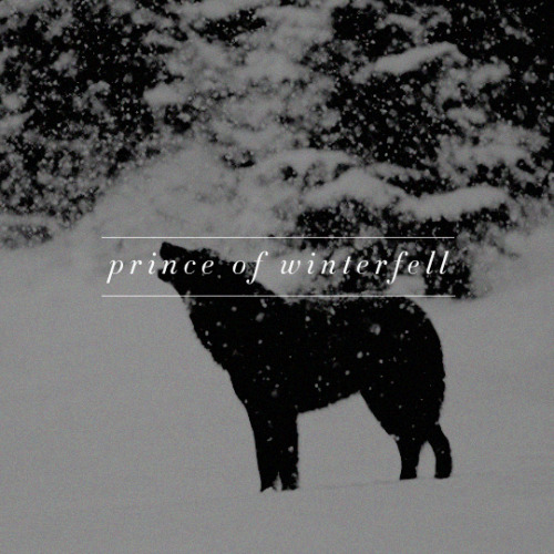 catellynstark: “Are we going home?” Rickon asked excitedly. “I want my horse. And 