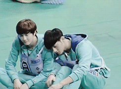 incenesque:  sleepy taozi resting against his junmaho~ 