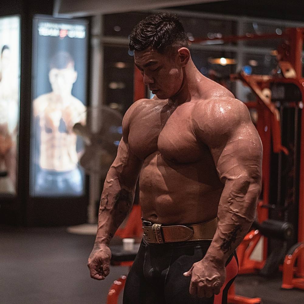 Haus Of Muscle