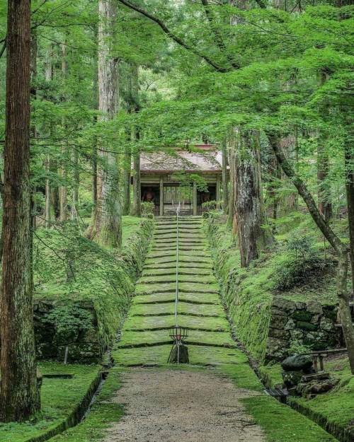 itsmarjudgelove:Temple on Mount Konzeyama, Shiga