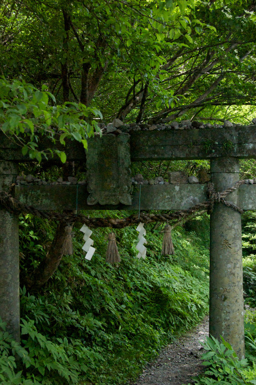 torii in unzen Forest in Unzen.By : non-euclidean photography