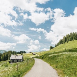 raphaeldupertuis:A little hike on this mountain road, anyone? Of course walking on concrete is never long and you always end up walking on grass and beautiful trails ⛰#diablerets #myvaud  (at Les Diablerets)