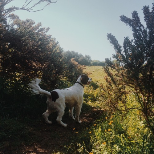 danielodowd:  Charles is the best