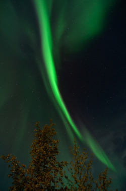 spacettf:  Aurora by Lee Petersen - lwpetersenphotography.com on Flickr.