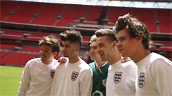 harryniips:  x 