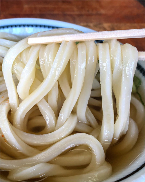 worldudon: (via うつ海うどん:｛^L^｝が食べたもん)