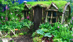 Feyworldmag: Fey Homes Part 1. Faeries Can Live In Toadstool Mushrooms And Flowers,