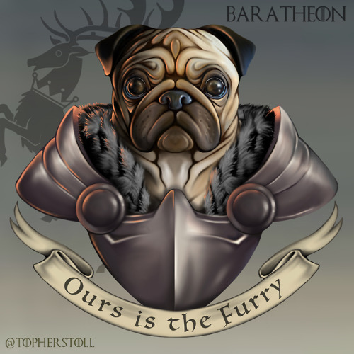 The Great Houses of Westeros as Adorable Doggos. Hopefully this takes the edge off all the inevitabl