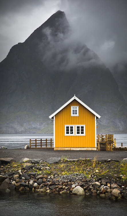 allthingseurope:Sakrisoy Island, Norway (by Ela Dzimitko)
