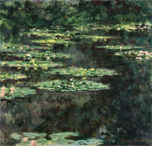 artist-monet:Water Lilies, 1904, Claude Monet