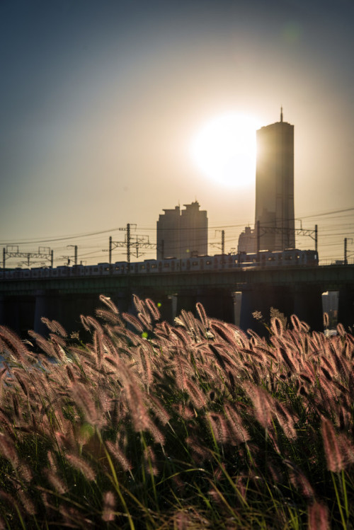 Sunset at Ichon Hangang Park.