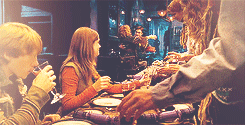 sydneykatherines-blog:  Christmas with the Weasley family 