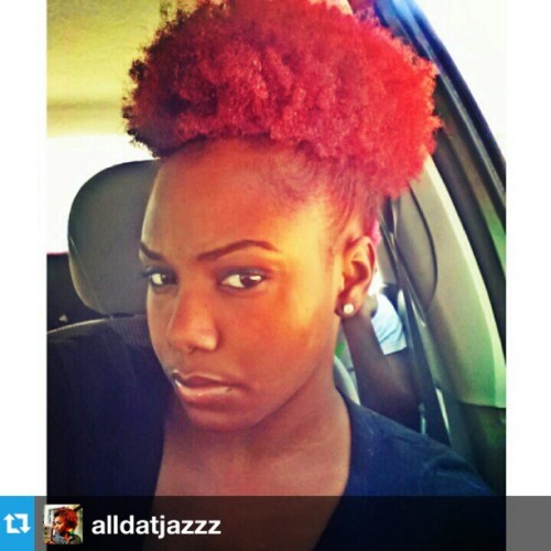 naturalhairdaily:  That mega puff though! 😯 @alldatjazzz #naturalhair #teamnatural #updo 