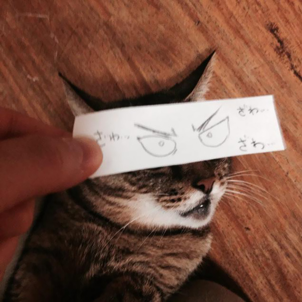 asylum-art:  Fake Cartoon Eyes for Cats Make Everything Better  Via:  kotaku Japanese