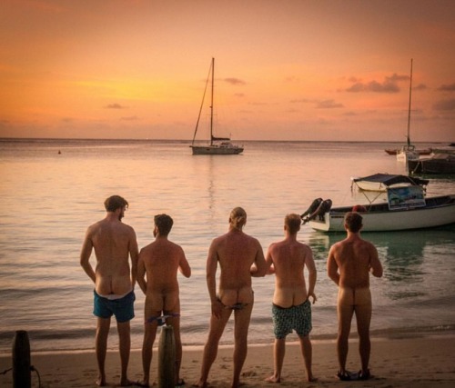 SUNSET | BUTT These lucky #butts in #Mauritius are enjoying an epic #sunset! Butts love #sundowners!