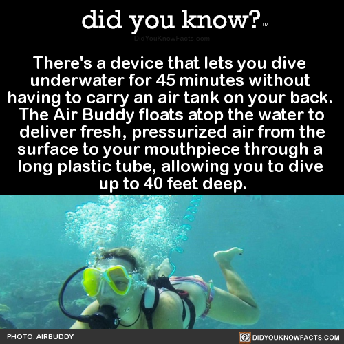 did-you-kno:  There’s a device that lets you dive  underwater for 45 minutes without  having to carry an air tank on your back.  The Air Buddy floats atop the water to deliver fresh, pressurized air from the surface to your mouthpiece through a  long