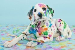 babyanimalgifs:  Paint covered puppies