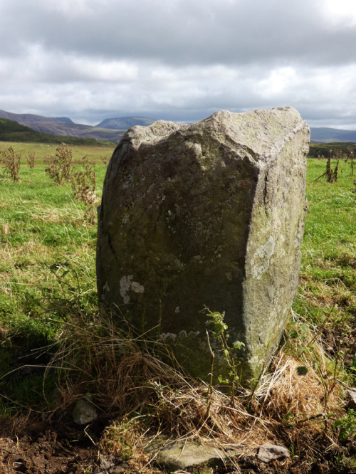 Moel Goedog Standing Stone 3, Harlech, North Wales, 18.8.17. This standing stone seems to have been 