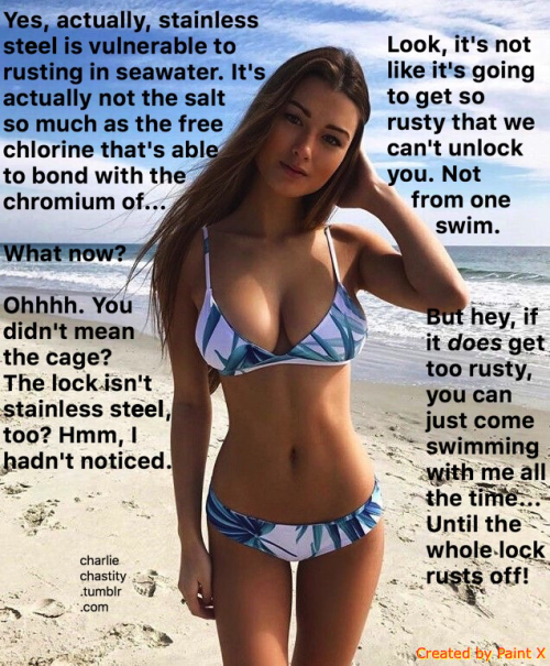 Yes, actually, stainless steel IS vulnerable to rusting in seawater. It’s actually not the salt so much as the free chlorine that’s able bond with the chromium of…What now?Ohhhhh. You didn’t mean the cage? The lock isn’t stainless steel,