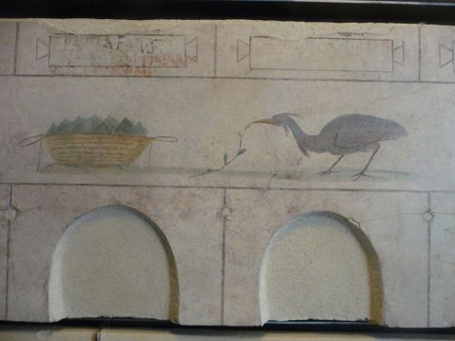 romegreeceart:Palazzo Massimo - Fresco details, set 8I have some spare time so I dediced to post &ld