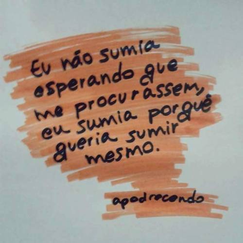 O viajante