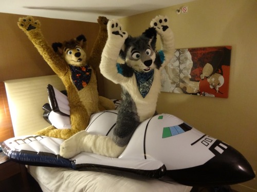 SFW Furry pictures