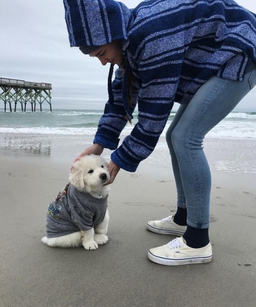 cburry: Enjoying life on the beach with this cute fluffy marshmallow (at Wrightsville Beach, North C