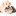 ourpetco: