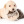 ourpetco: