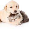 ourpetco: