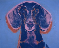 artimportant:  Andy Warhol - Portrait of Maurice, 1976 