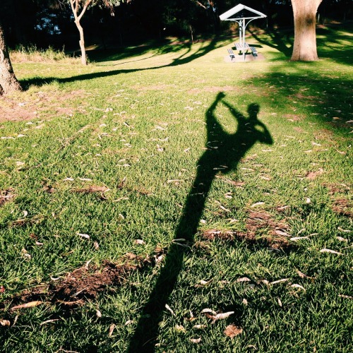 pure-wings: nature vs mankind // making shadows in the grass