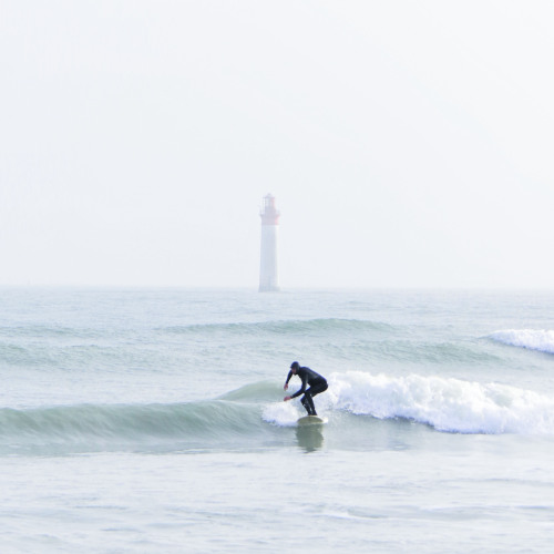  SESSION HIVERNALE  (Rivedoux-Plage)  -  Février 2021 