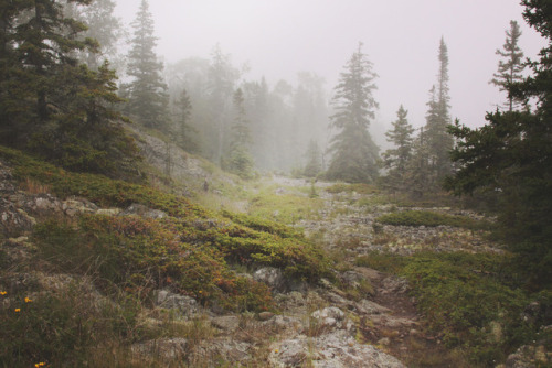 lemographie:Isle Royale National Park Instagram | Website 