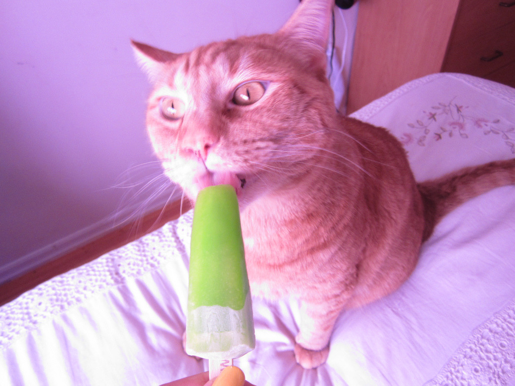 suicideblonde:  Maximus tried his first taste of a popsicle today.  Here he is right